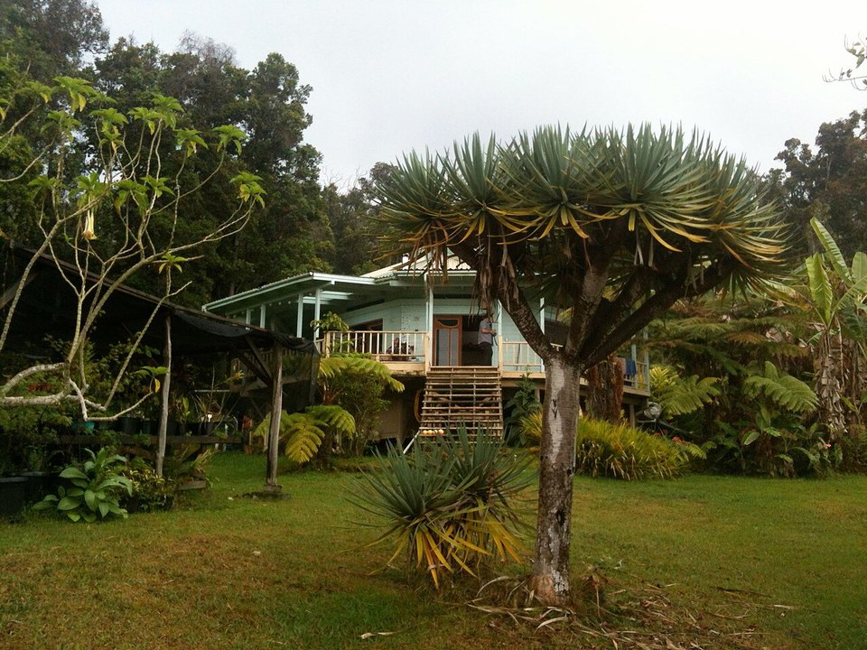 Botanical Dimensions ethnobotanical preserve in Hawaii, founded by Kathleen Harrison and Terence McKenna in 1985