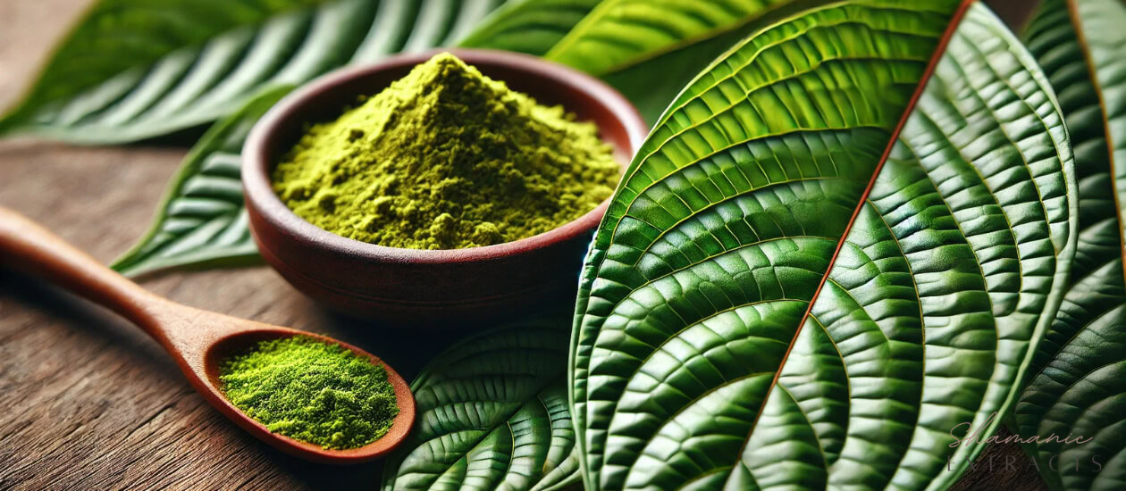 Kratom, scientifically known as Mitragyna speciosa, is a tropical evergreen tree native to Southeast Asia, particularly in countries like Thailand, Indonesia, Malaysia, and Papua New Guinea. For centuries, the leaves of this plant have been used for their medicinal and psychoactive properties. As interest in natural remedies grows globally, Kratom is gaining attention for its […]